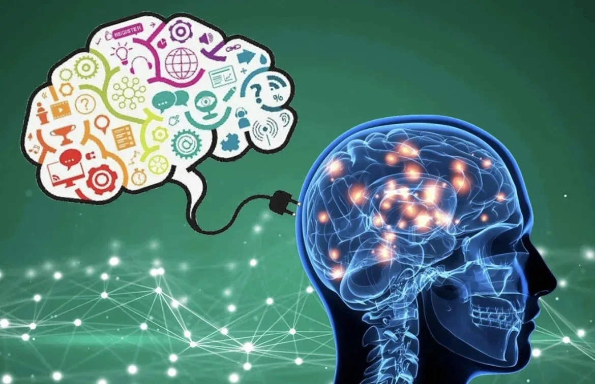 🧠 Тренируем не мышцы, а нейроны!