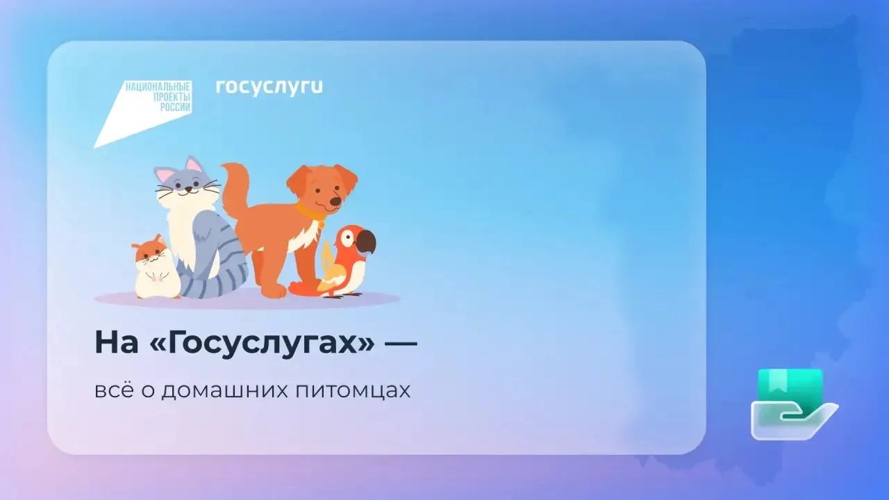 🐩 На «Госуслугах» появился генератор кличек для питомцев