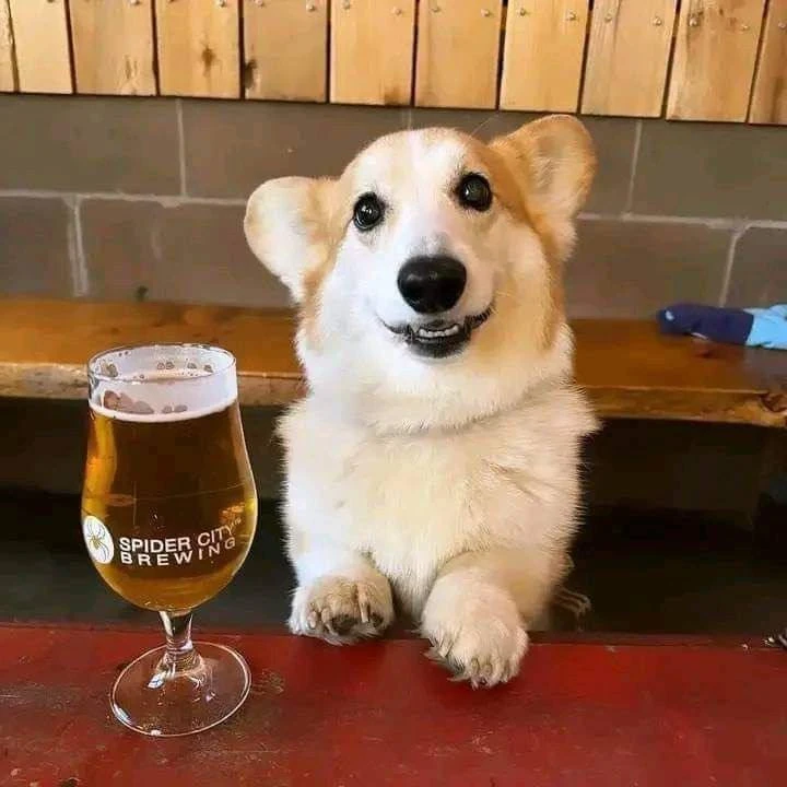 🍺 Международный день пива отмечается сегодня

Отправь тому, с кем отпразднуешь

💬 Мы в Telegram 🇷