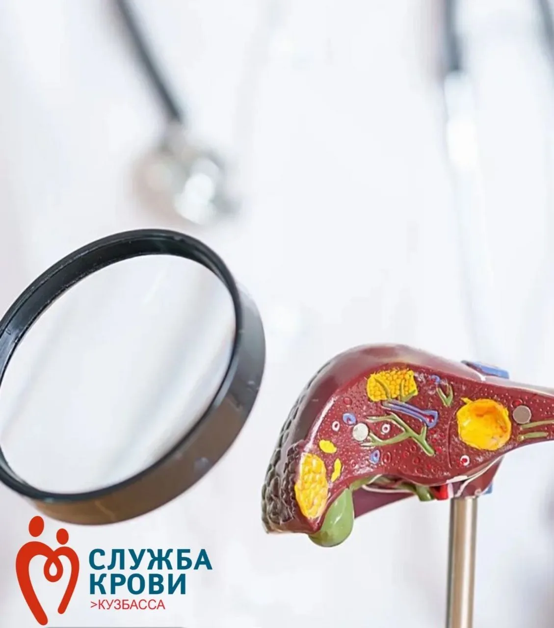 В рамках заботы о своём организме напоминаем: заболевания печени часто развиваются незаметно. Но хор