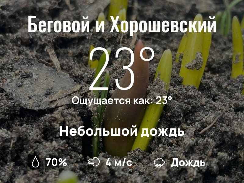 Что с погодой в Беговом и Хорошевском?