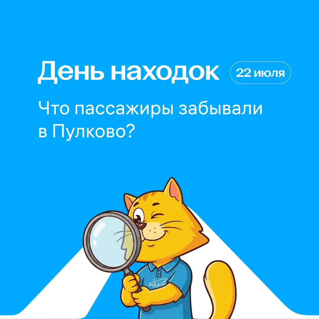День потерянных вещей находок: что мы находим в Пулково

Бюст древнегреческой богини, бензопилу и ещ