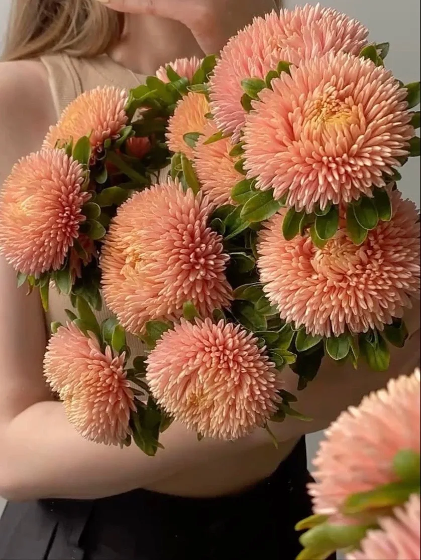 Вот за что мы любим август 😍