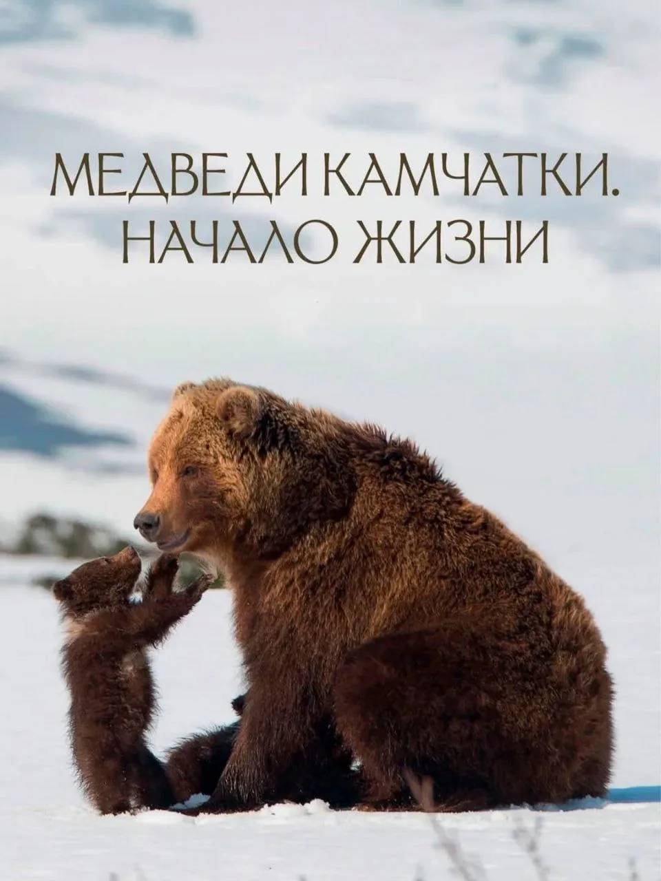 ✨ 9 документалок, которые прокачают любопытство вашего ребёнка.  Они помогут взглянуть на науку и пр