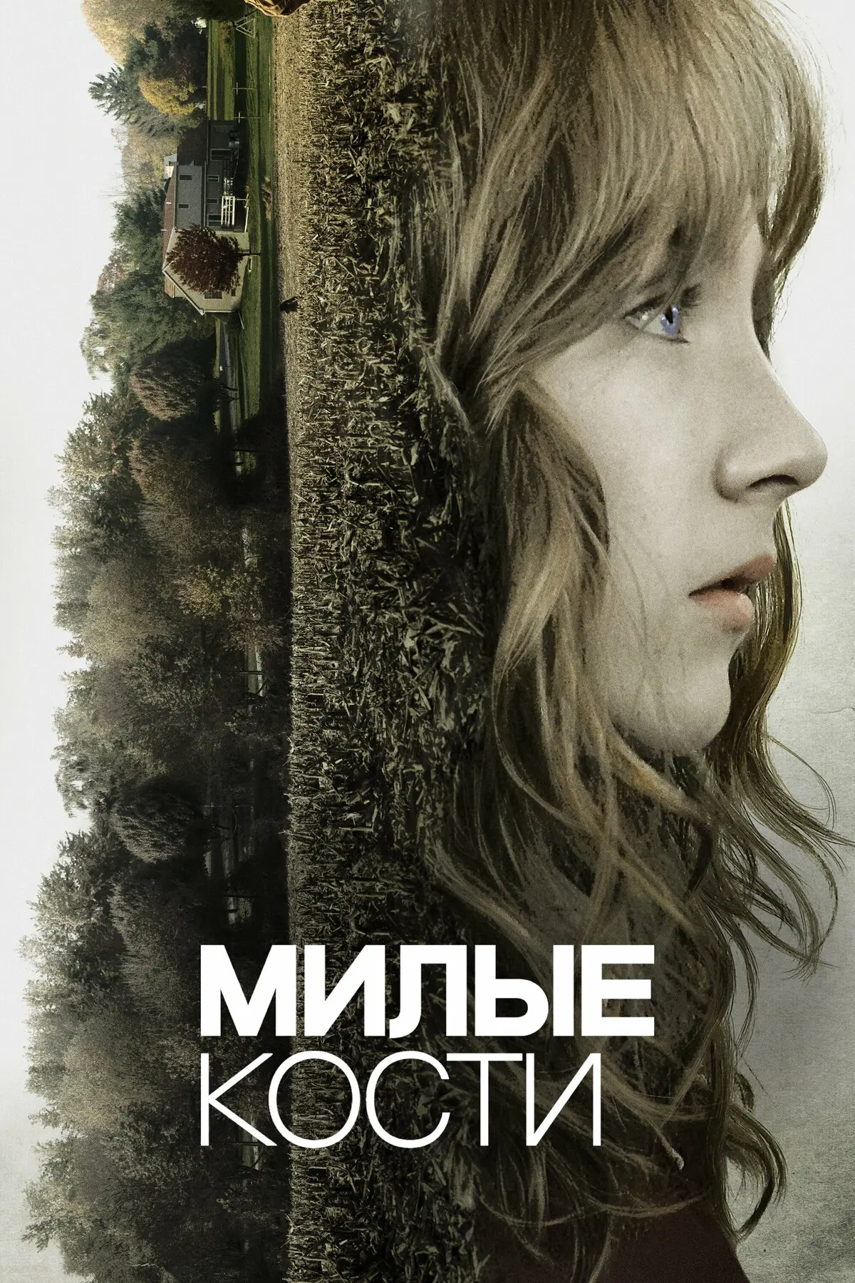 Милые кости (2009)