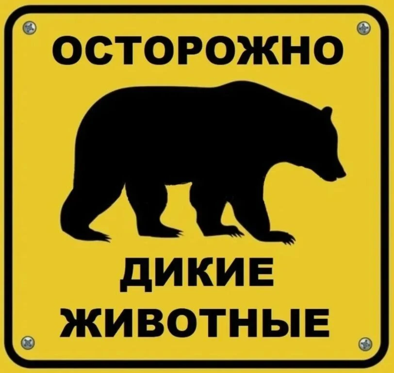 Сообщение от ЕДДС