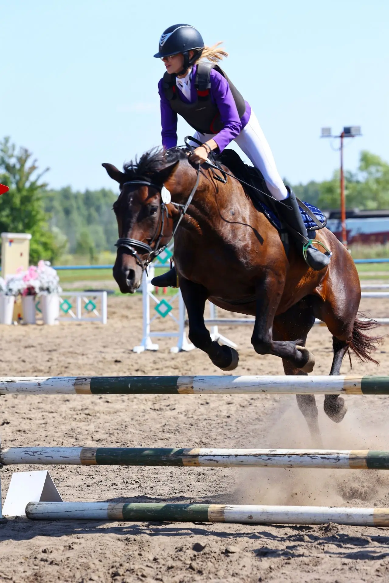🐎Завершились региональные соревнования по конному спорту