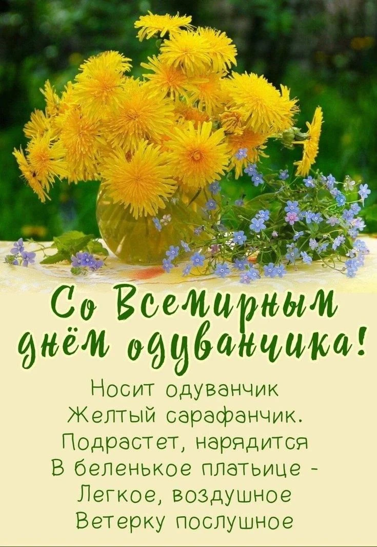 🌞 День одуванчика в нашем саду! 🌼Вчера в средней и старшей группах прошел настоящий праздник солне