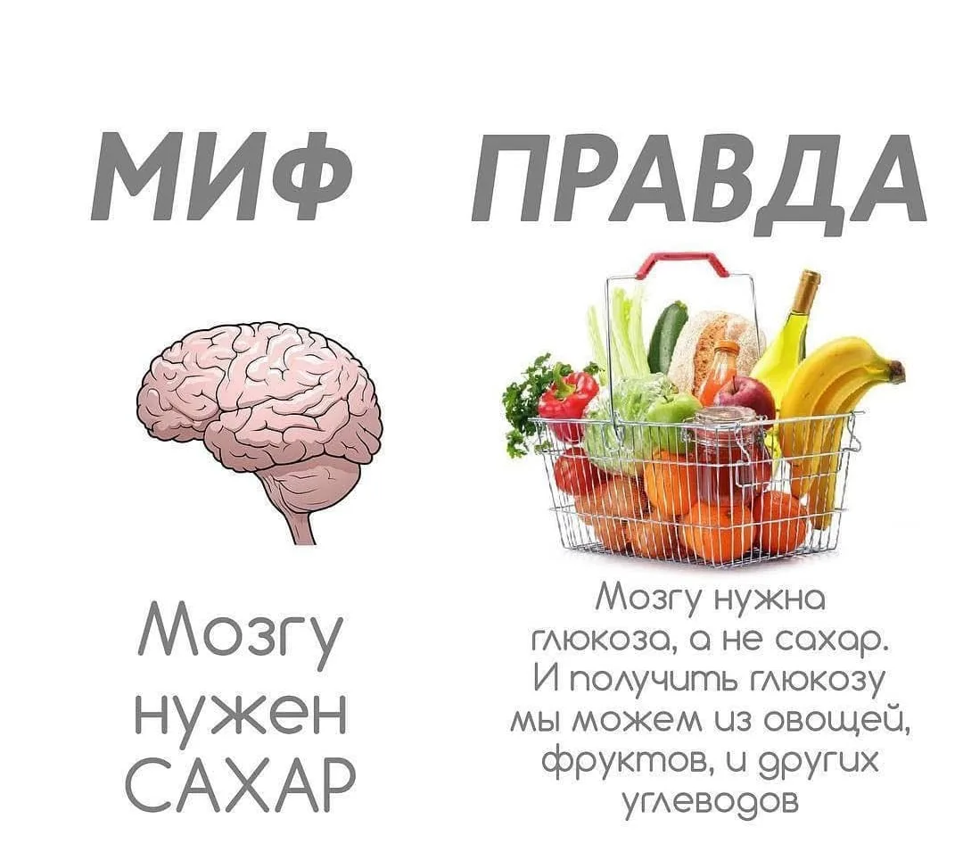 Разбираемся, действительно ли сахар влияет на работу мозга