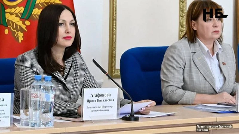 🤰 Новым «демографическим стандартом» решили поднимать рождаемость в Брянской области