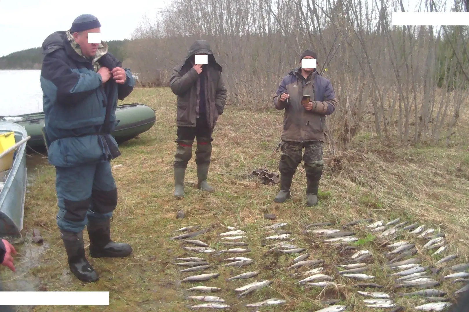 В «Югыд ва» инспекторам пришлось собирать сотню выброшенных на берег хариусов

Сначала патруль наткн