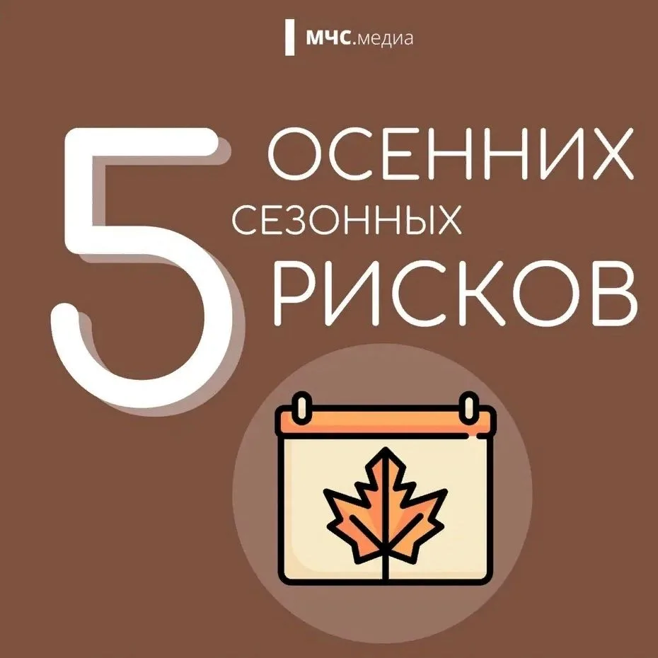 🍁 Осторожно, осень!