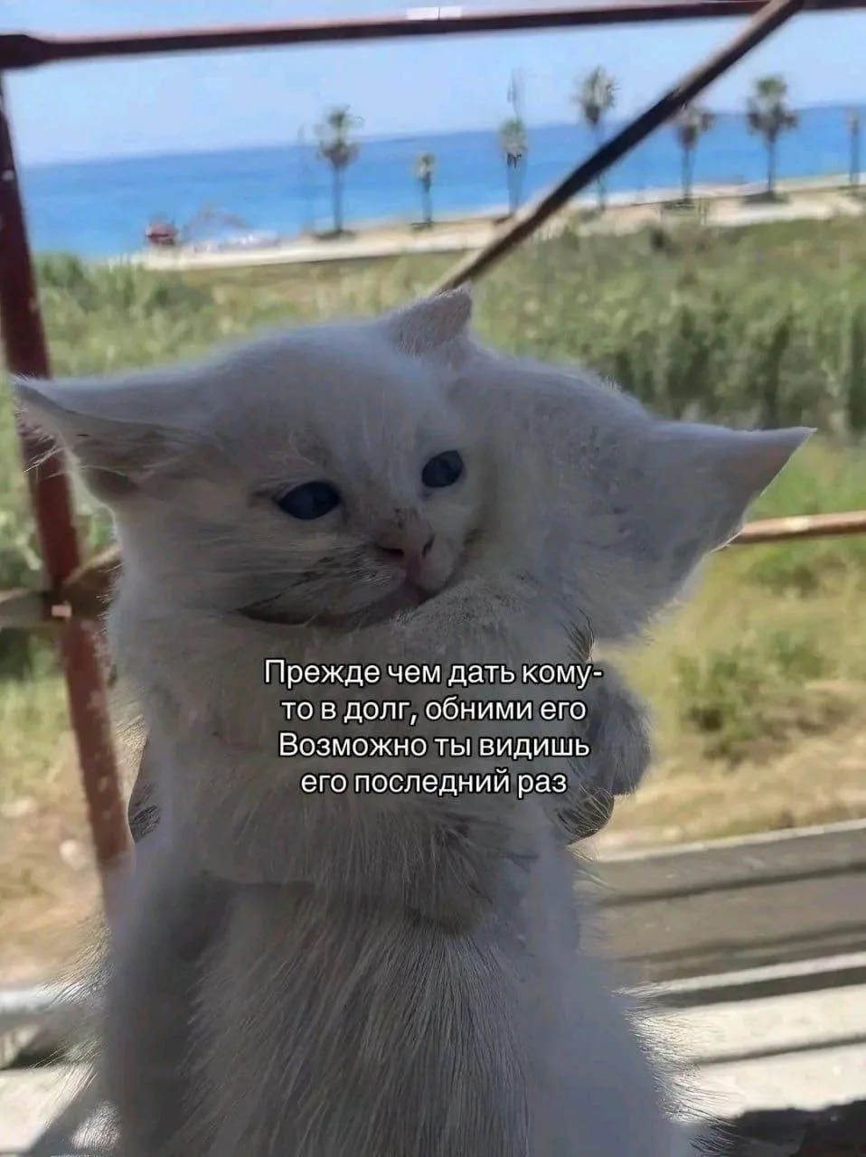Мемы каждый день • Подписаться