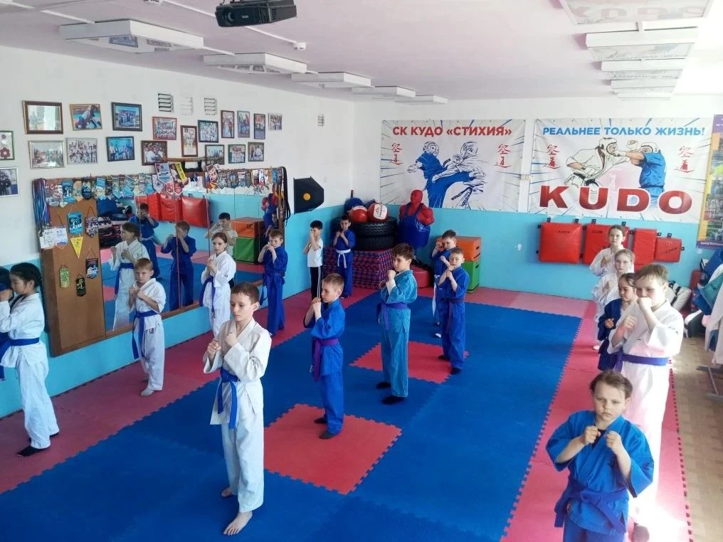 В объединении Кудо началась подготовка к аттестации на пояса