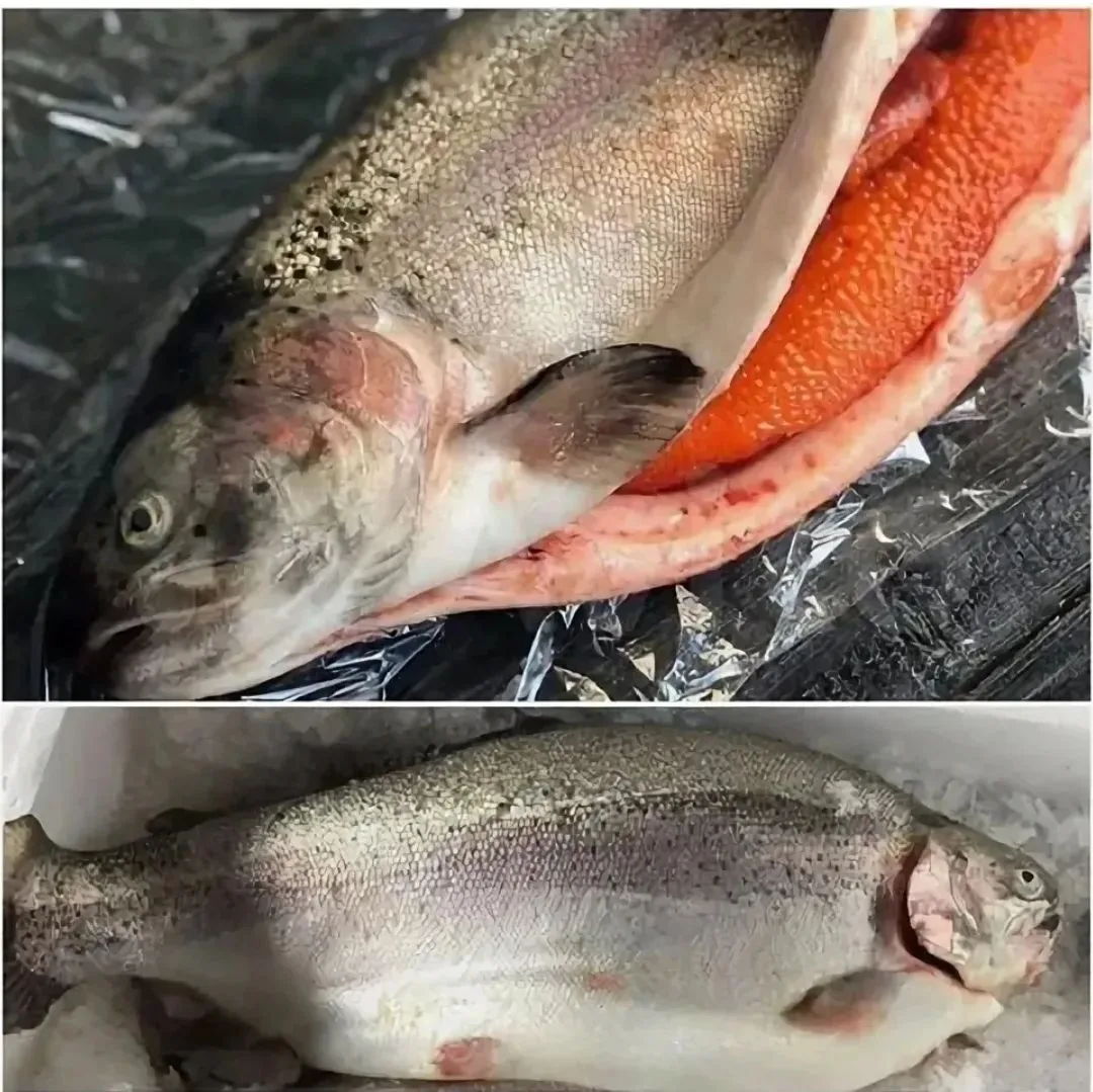 🐟 Принимаем заказы на охлаждённую форель с икрой!