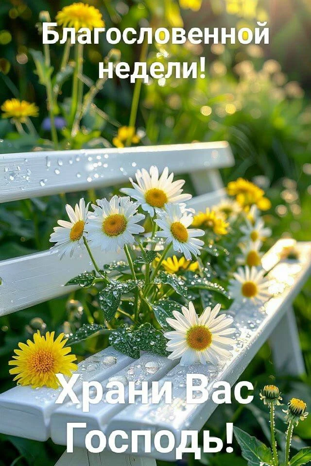 🌷 Открытки подписаться 👈