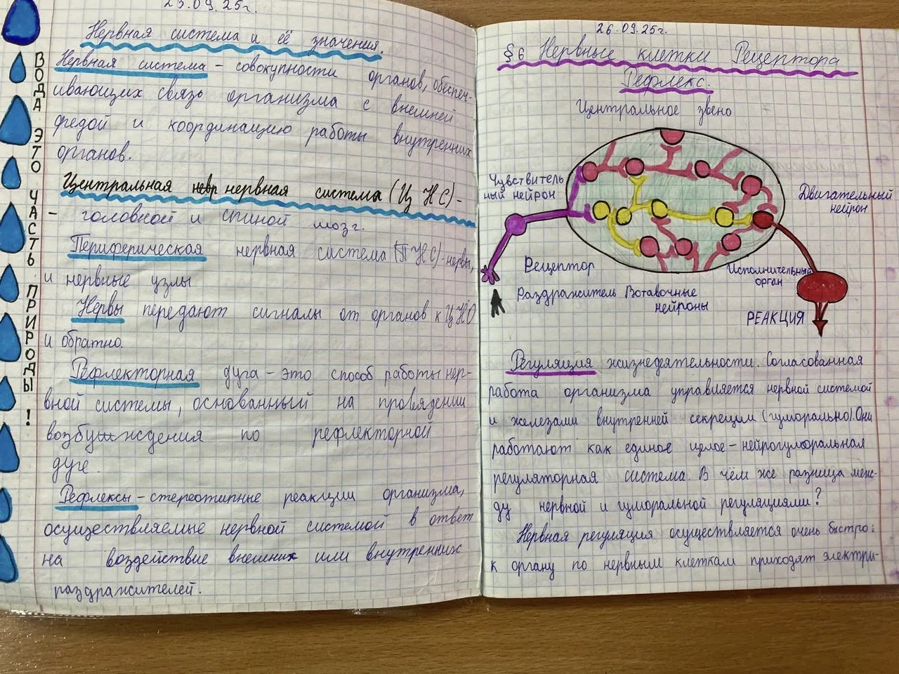 Рабочие тетради по биологии. Учитель Шабиханова З.Л.