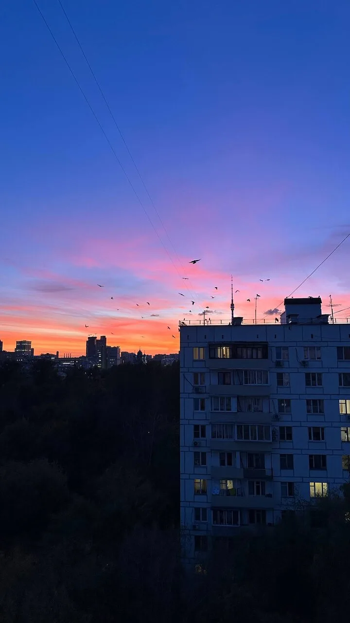 🕊Птички тоже хотят насладиться прекрасными солнечными пейзажами в Алексеевском!