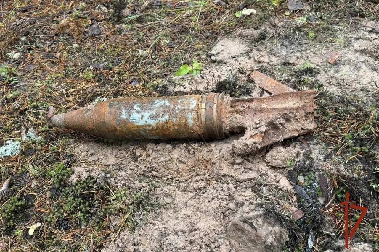 В Падунском районе Братска местные жители обнаружили опасный предмет в лесу. На место п...