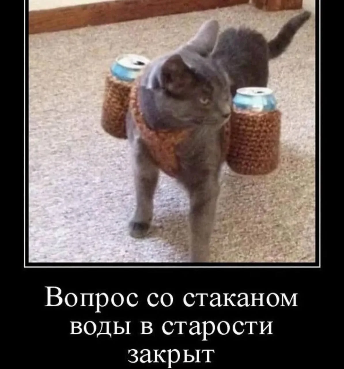 Анекдоты 😂
