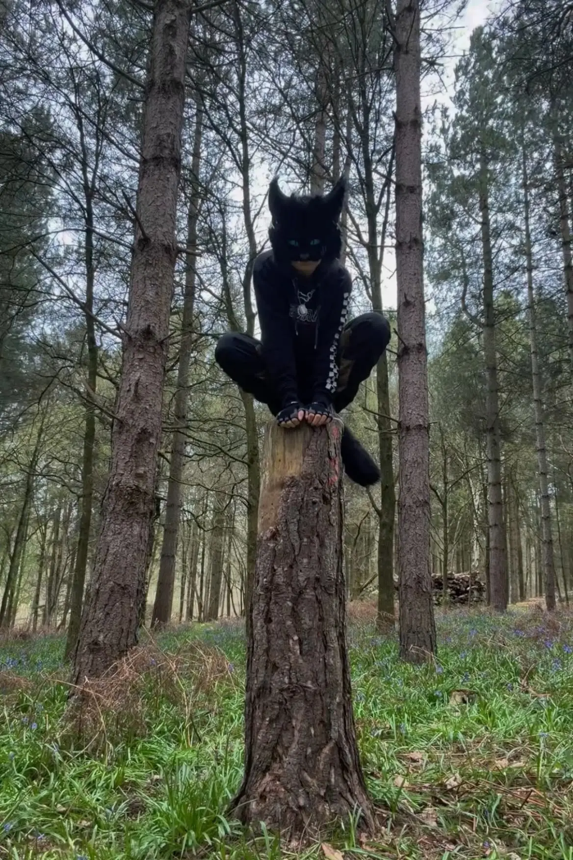 🐾🌿испугалась?🌿🐾