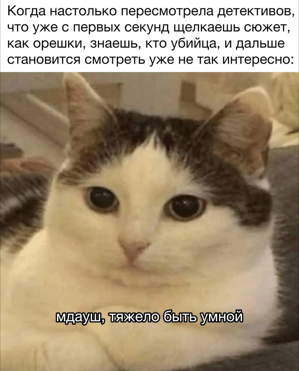 Ставь лайк! ❤️