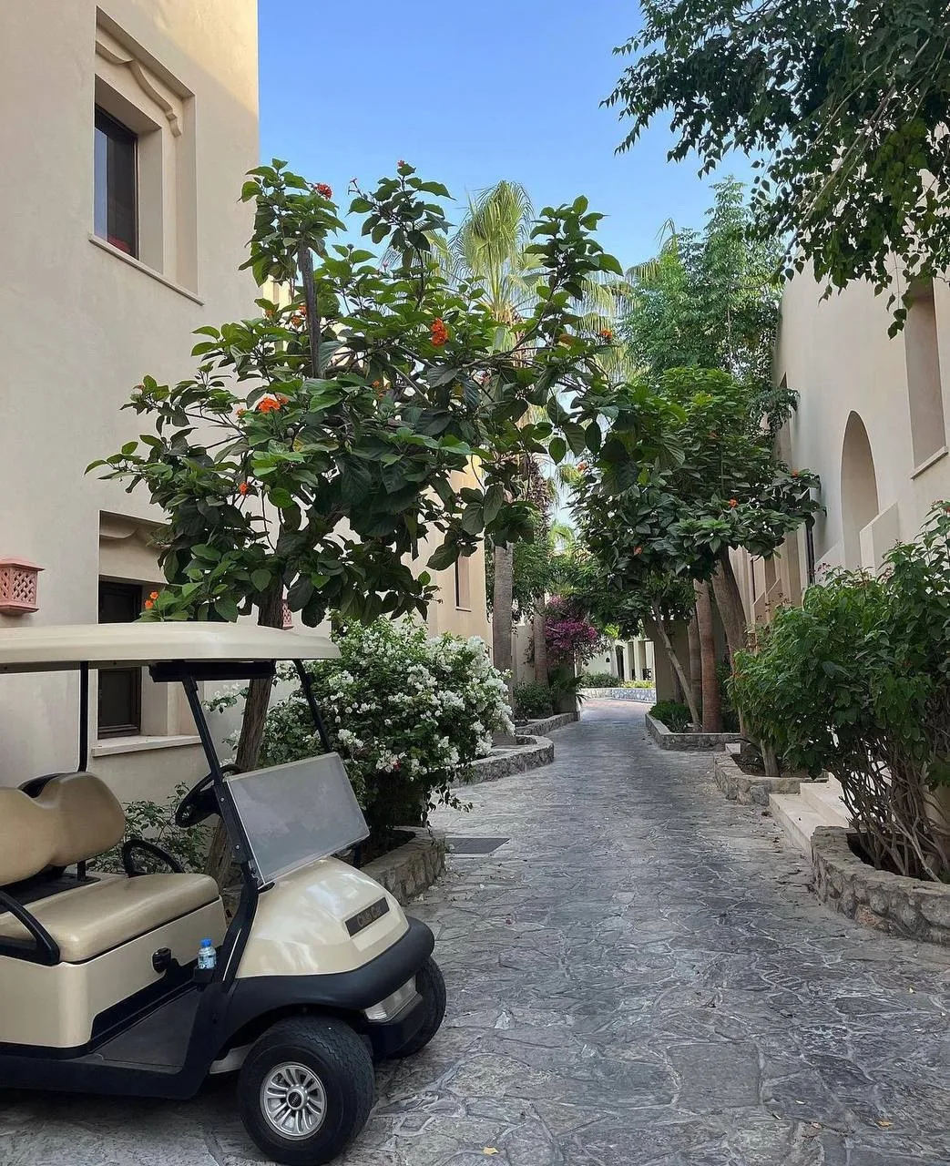 восточная сказка🕌

ОАЭ, РАС-ЭЛЬ-ХАЙМ 🇦🇪
The Cove Rotana Resort 5*
огромная территория, для передв