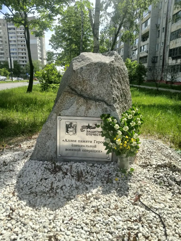 Территория у Аллеи памяти Героев СВО в переулке Батарейном, 6 в Хабаровске, как отмечает наша подпис