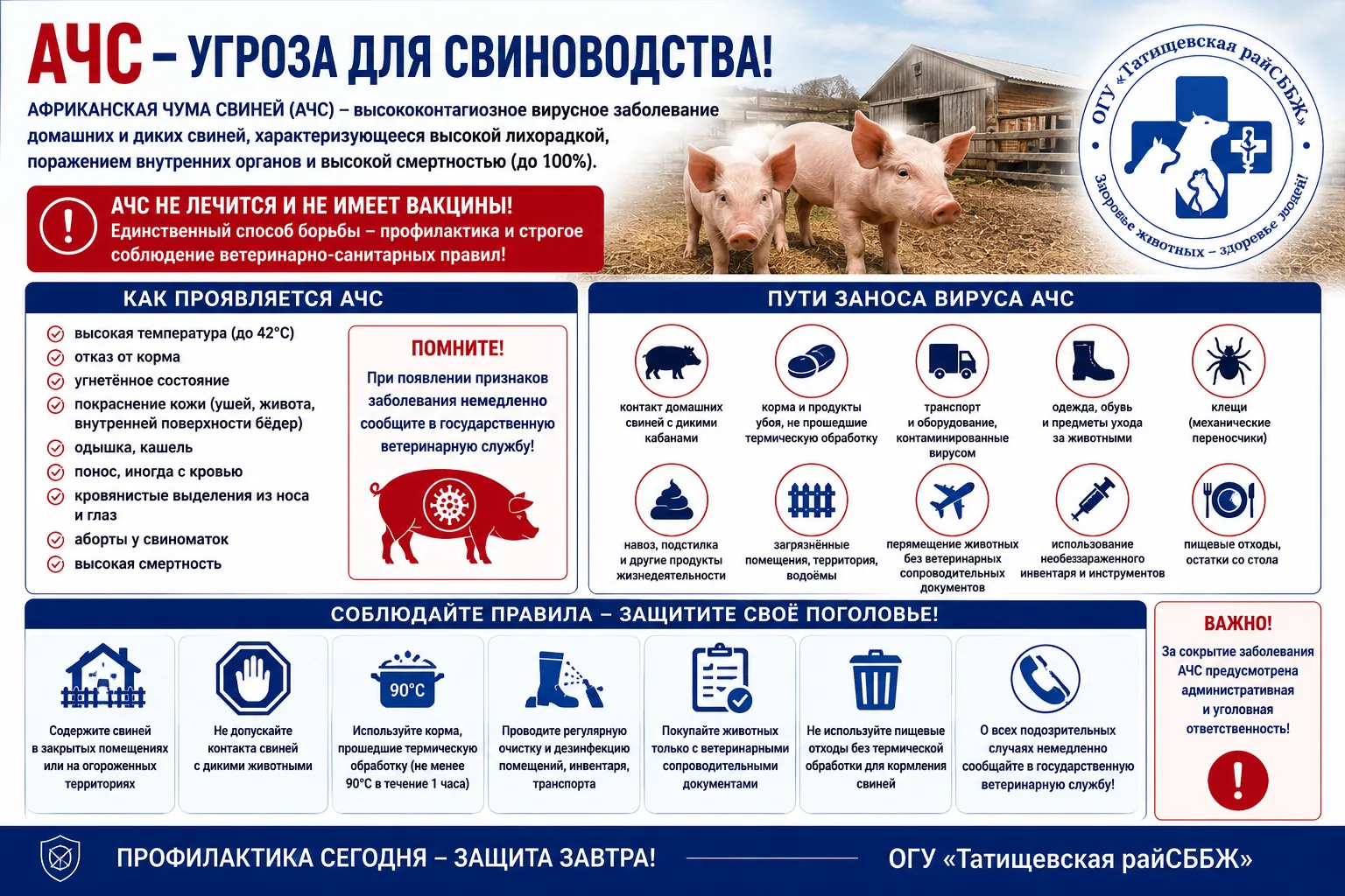 ✅Памятка для населения по профилактике африканской чумы свиней (АЧС)
