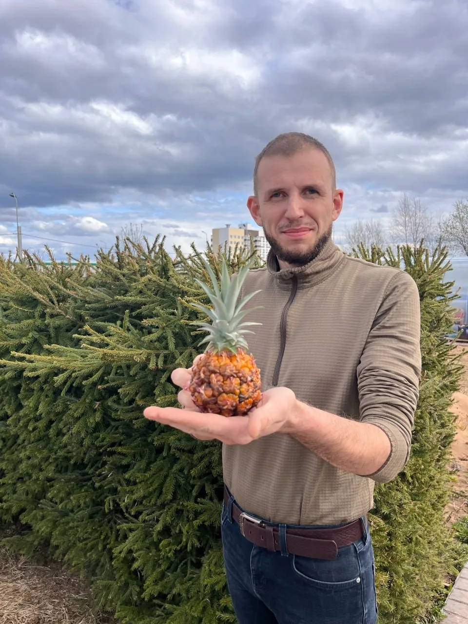 В Коми растут ананасы!  Точнее, пока один. Но самый настоящий. Экзотику вырастил Пётр Цембер в месте