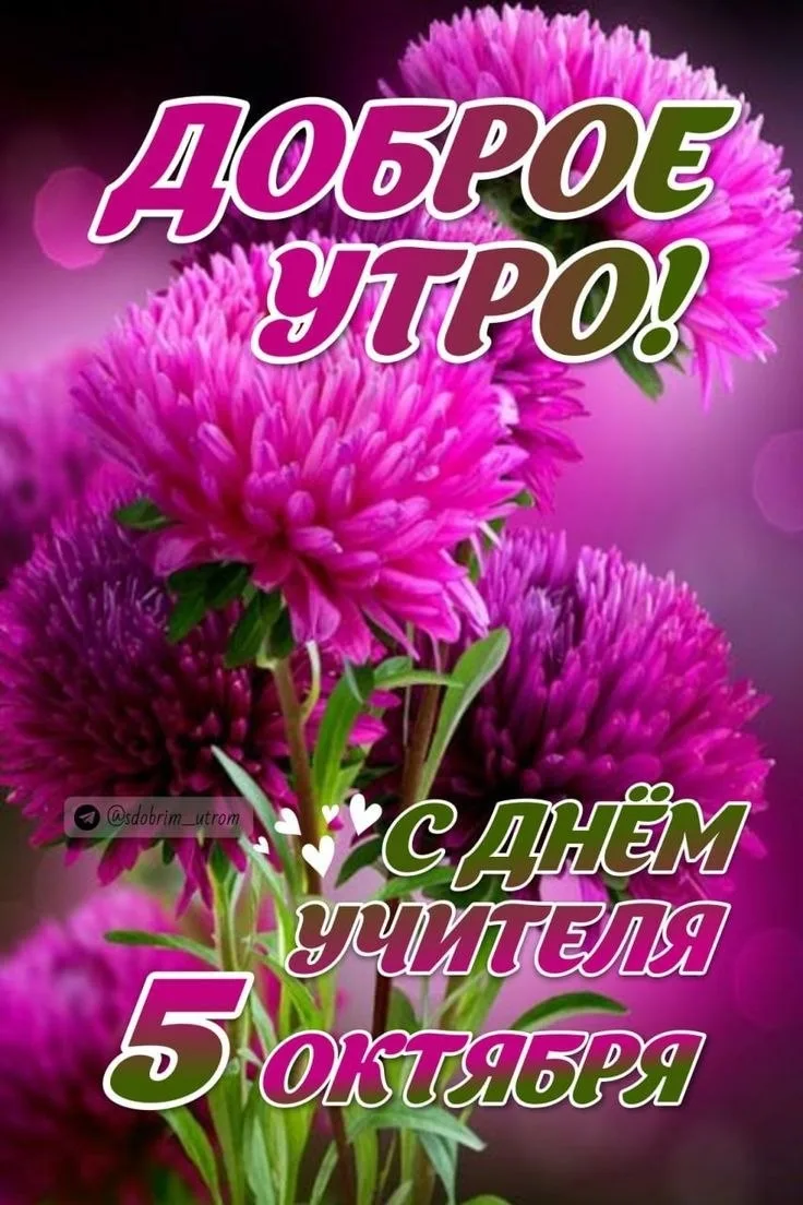 💌Фабрика открыток