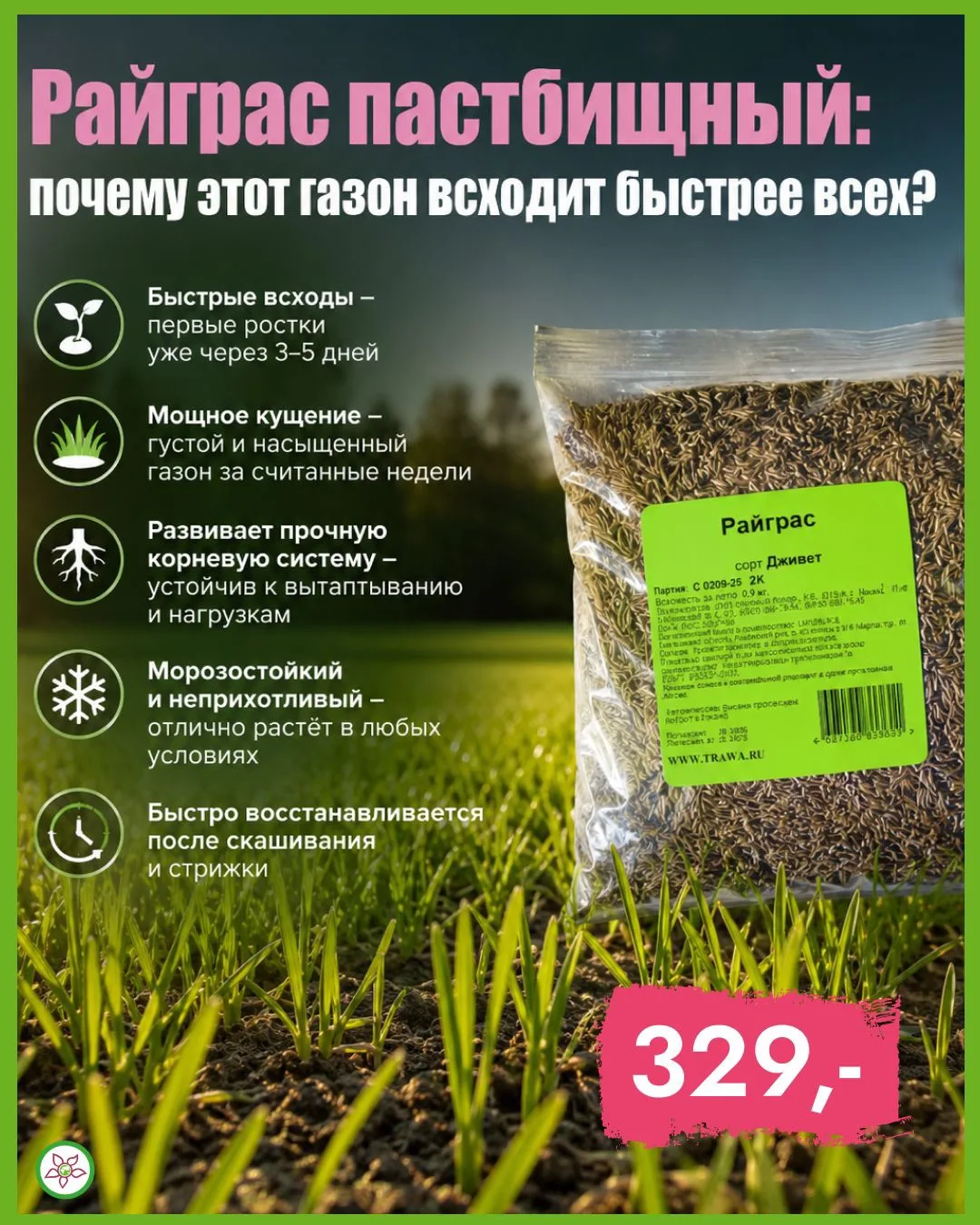 🌱 Райграс пастбищный: газон-спринтер!

Почему он всходит быстрее всех? Всё дело в биологической эне