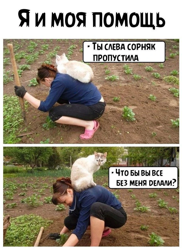 Изображение 1 к публикации «ЖЕНСКИЙ ЮМОР»