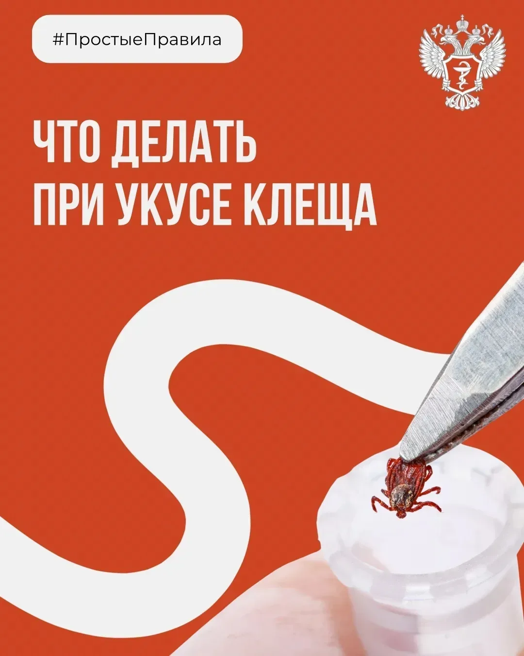 🔎Что делать при укусе клеща?

— Весна — время повышенной активности клещей. Выходя на природу, важн