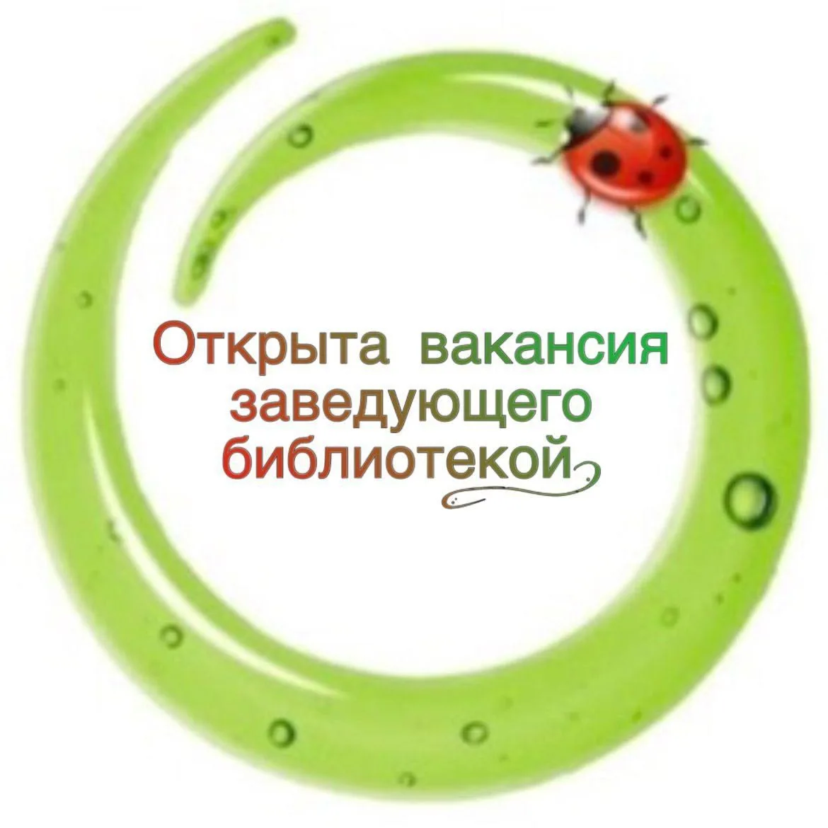 Ищем человека, который искренне любит книги и умеет создавать вокруг них особую атмосферу. Если вы п