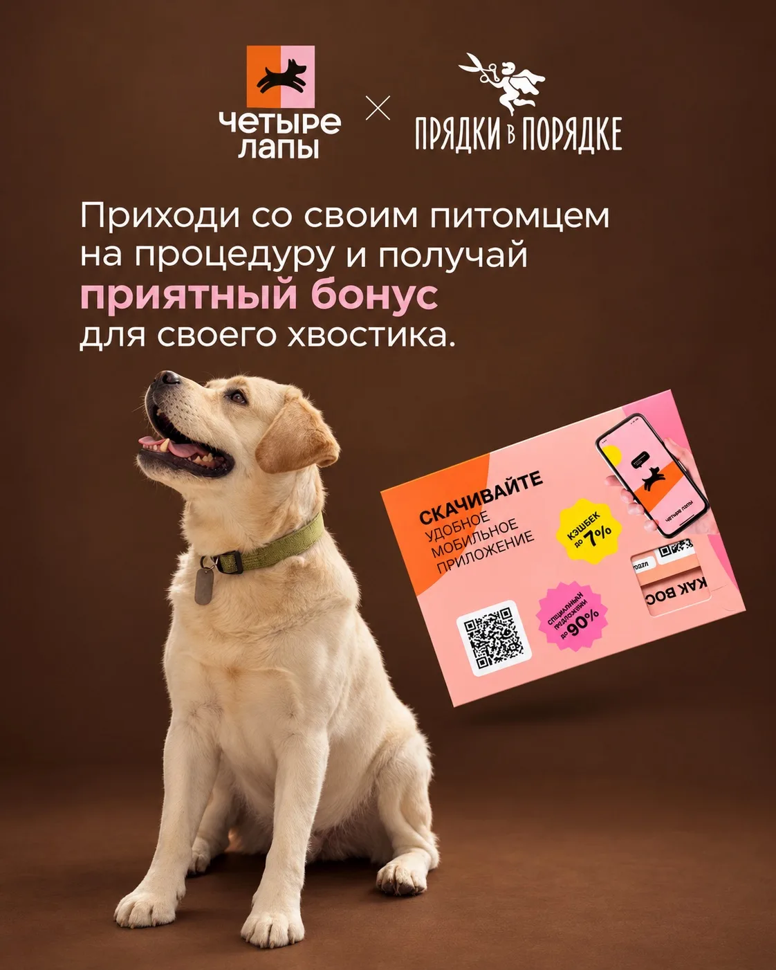 На бьюти — вместе 🐾