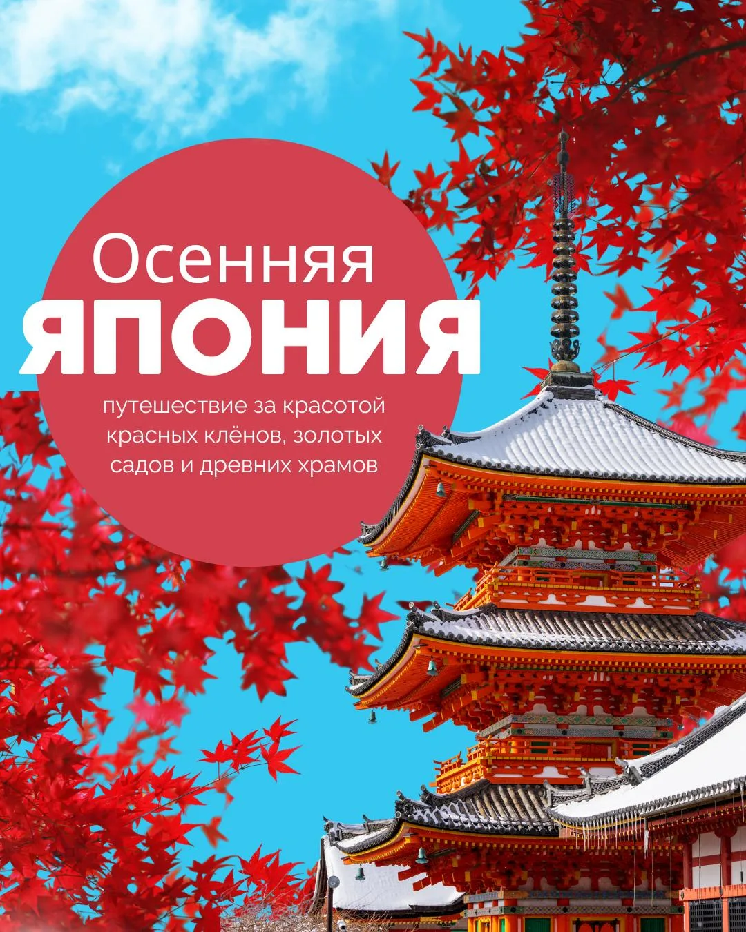 🇯🇵 ОСЕННЯЯ ЯПОНИЯ
