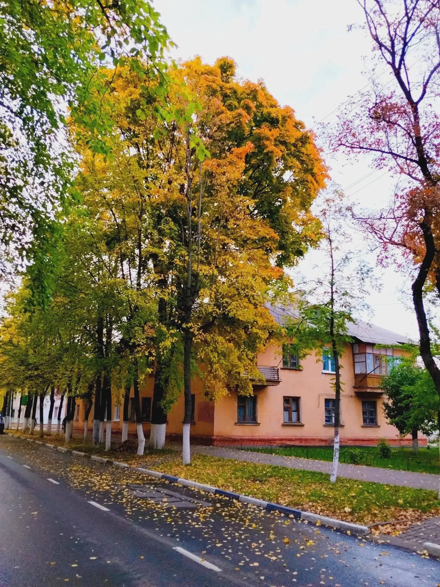 Губкин в золотых красках