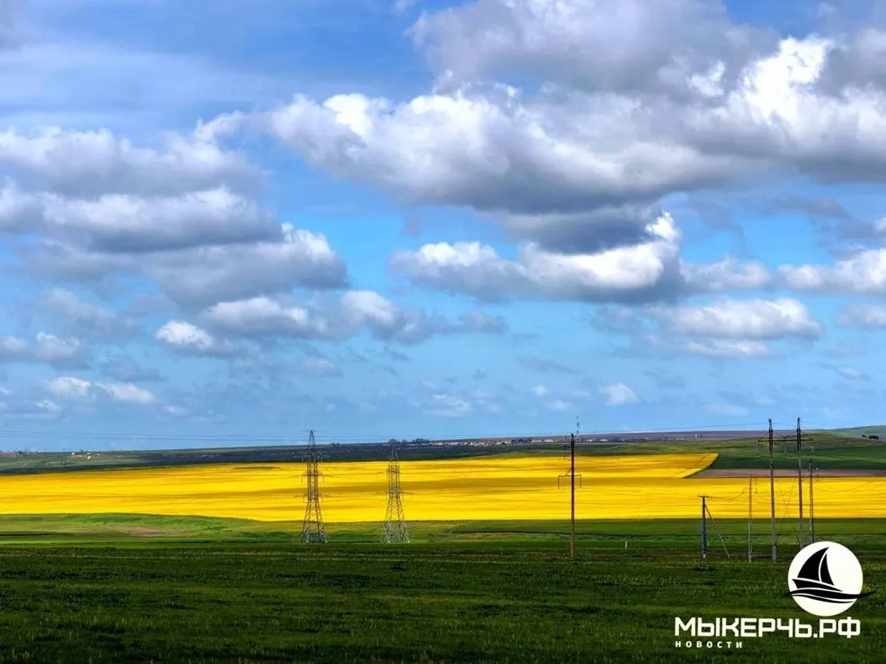 🌾 Новости с полей: сельское хозяйство Крыма 

-Учёные "НИИСХ Крыма" разработали биопрепарат для с/х