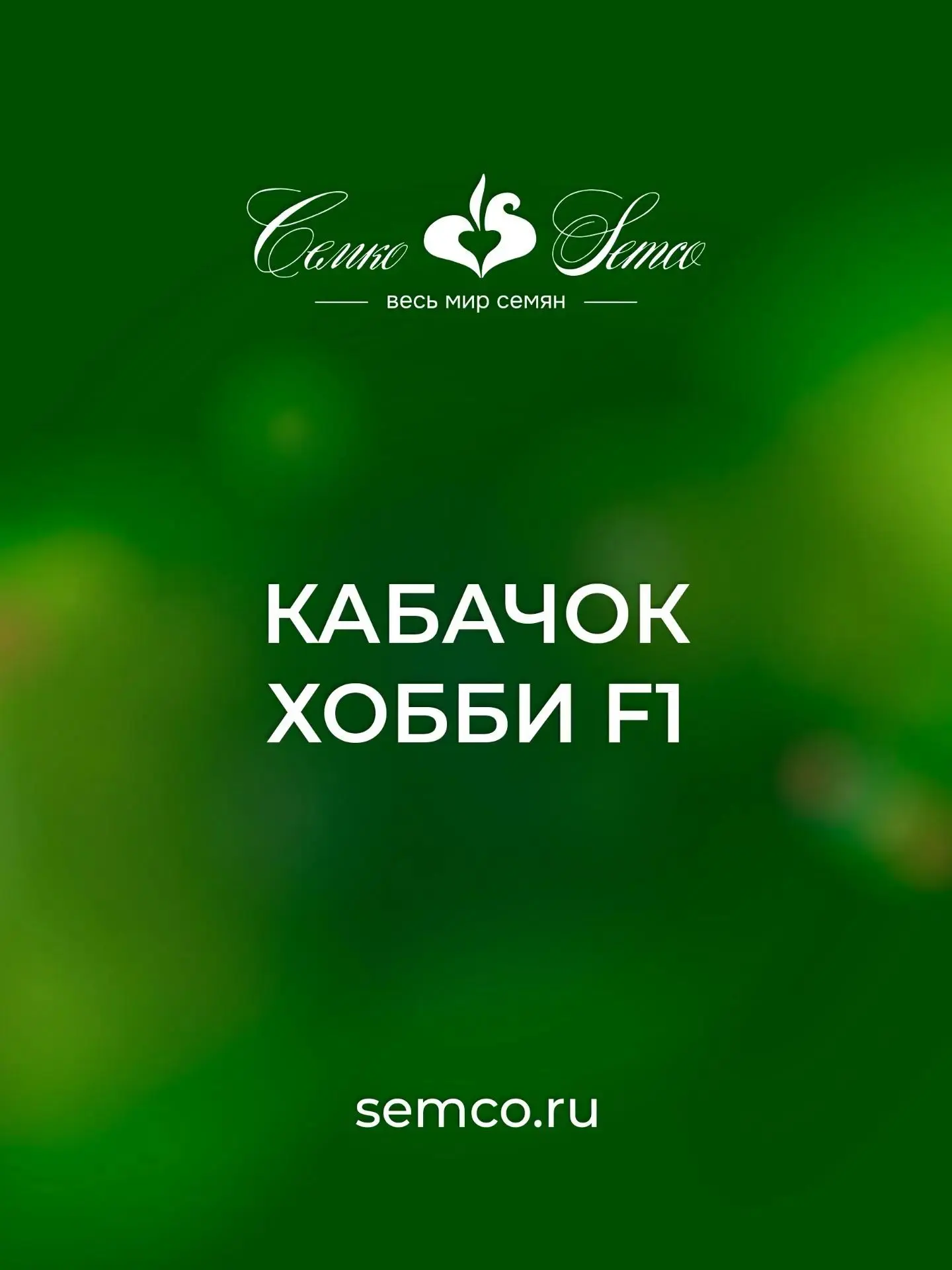 Один кабачок накормит всю семью.

Друзья, цукини Хобби F1 — ваш новый фаворит, который сделает садов
