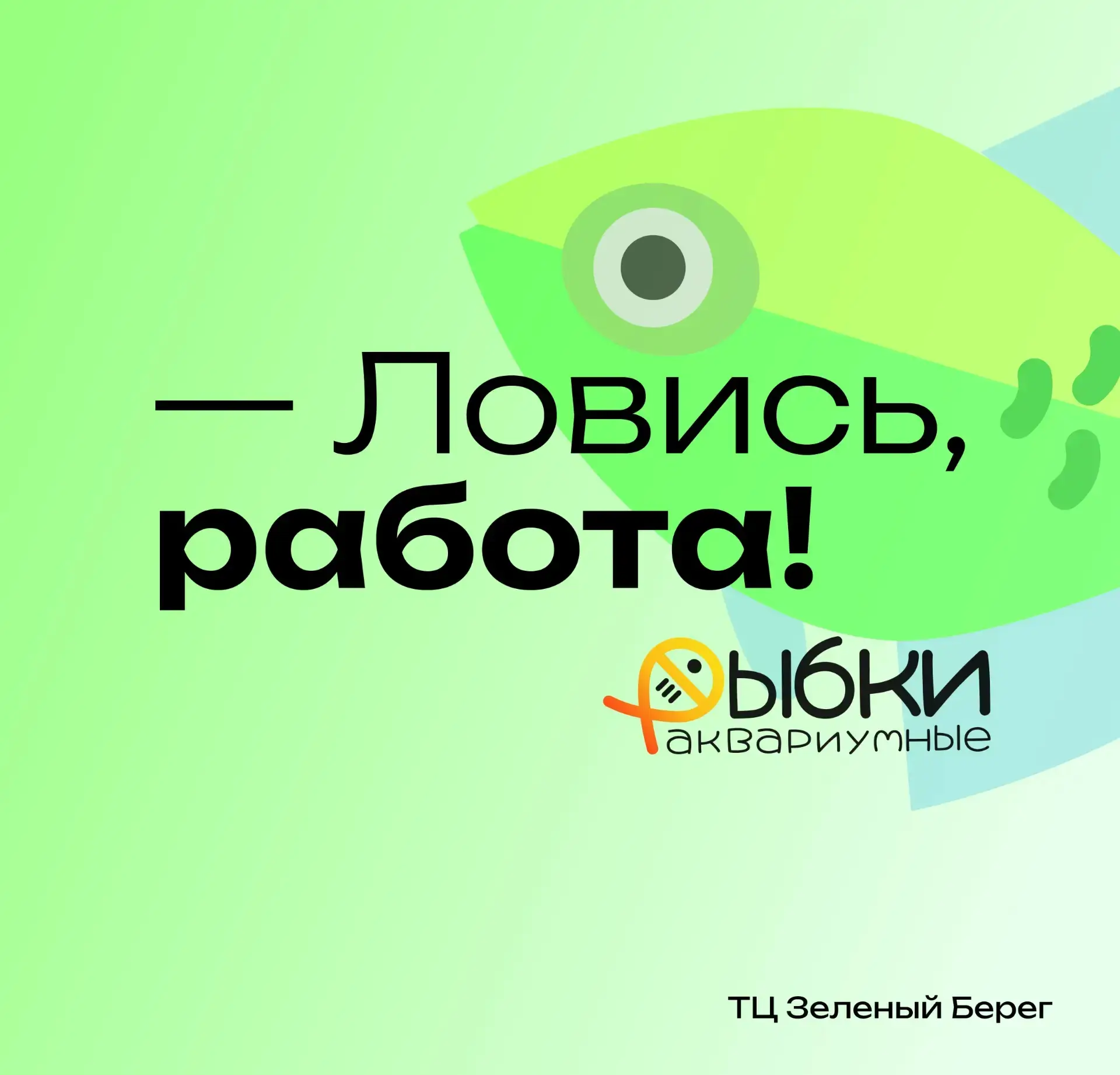 Мы искали только вас! 👀