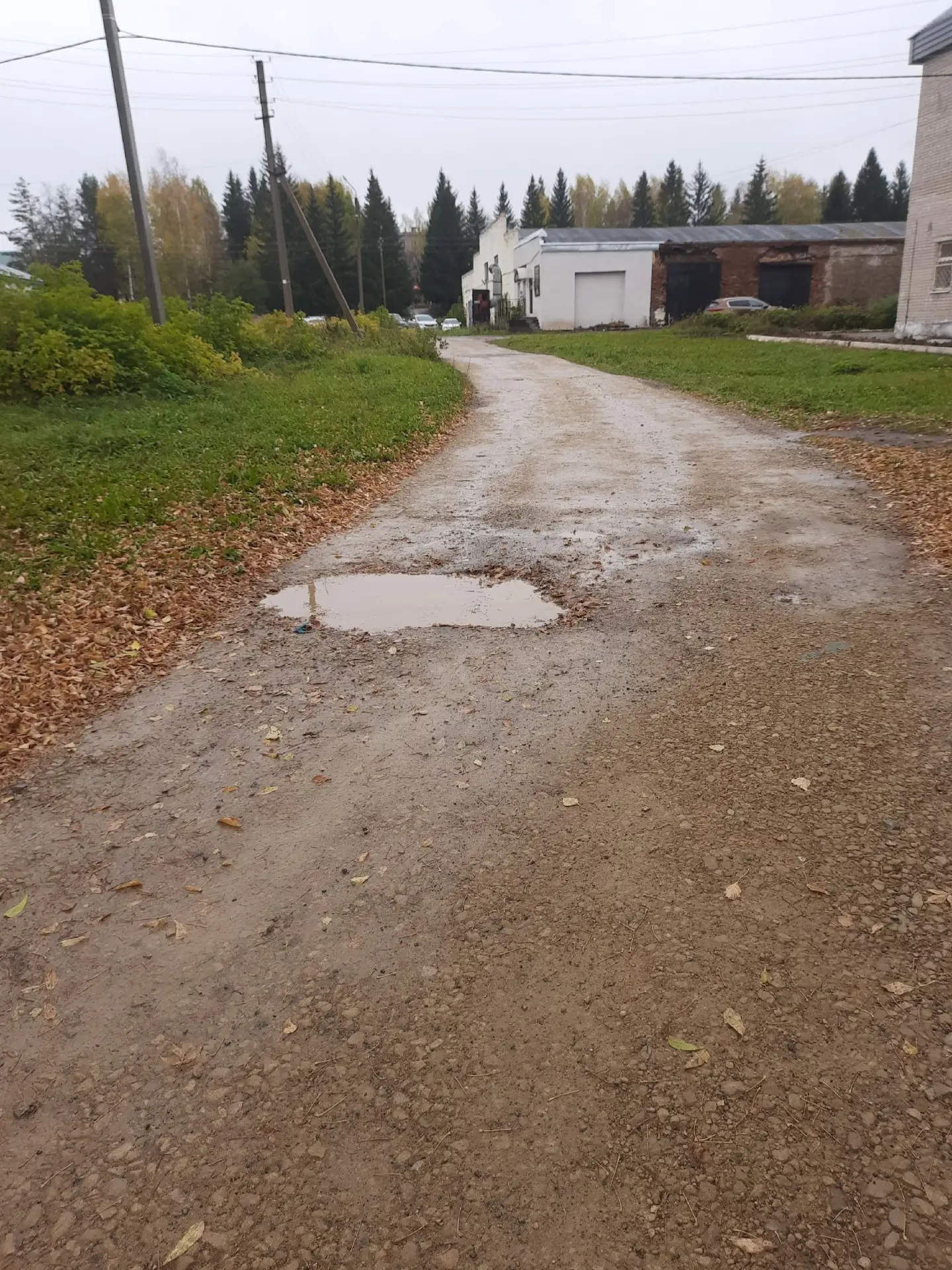 От подписчика