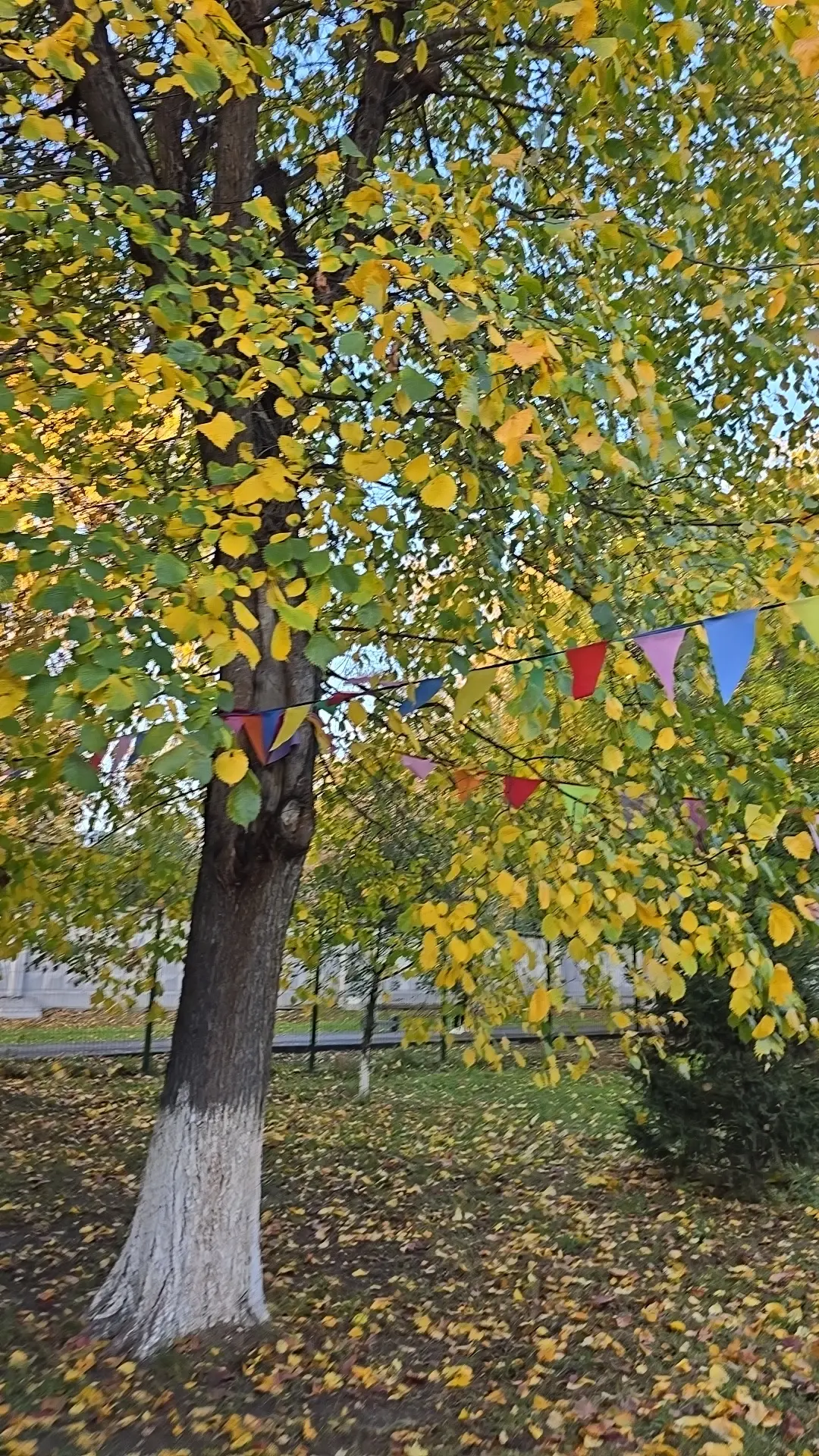 Пошли домой