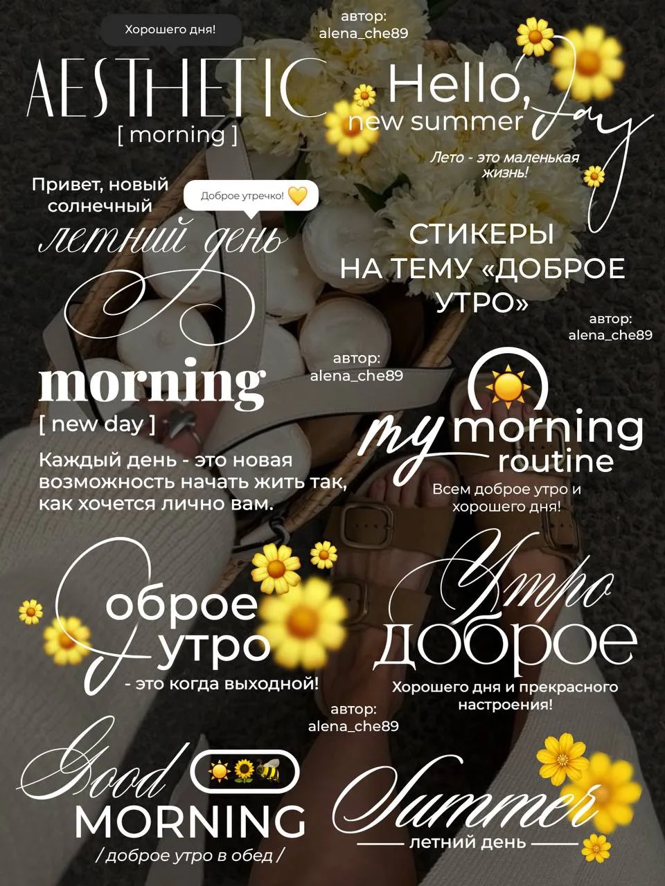 [ УТРО ]