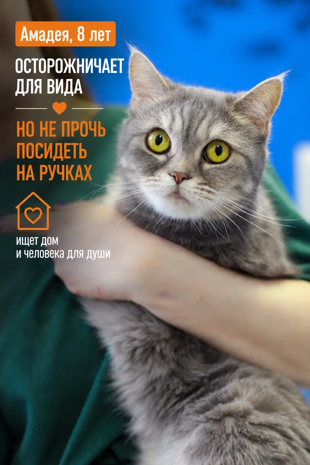 Знакомьтесь — Амадея! Сейчас у неё важный и непростой период, она осваивается на новом ...