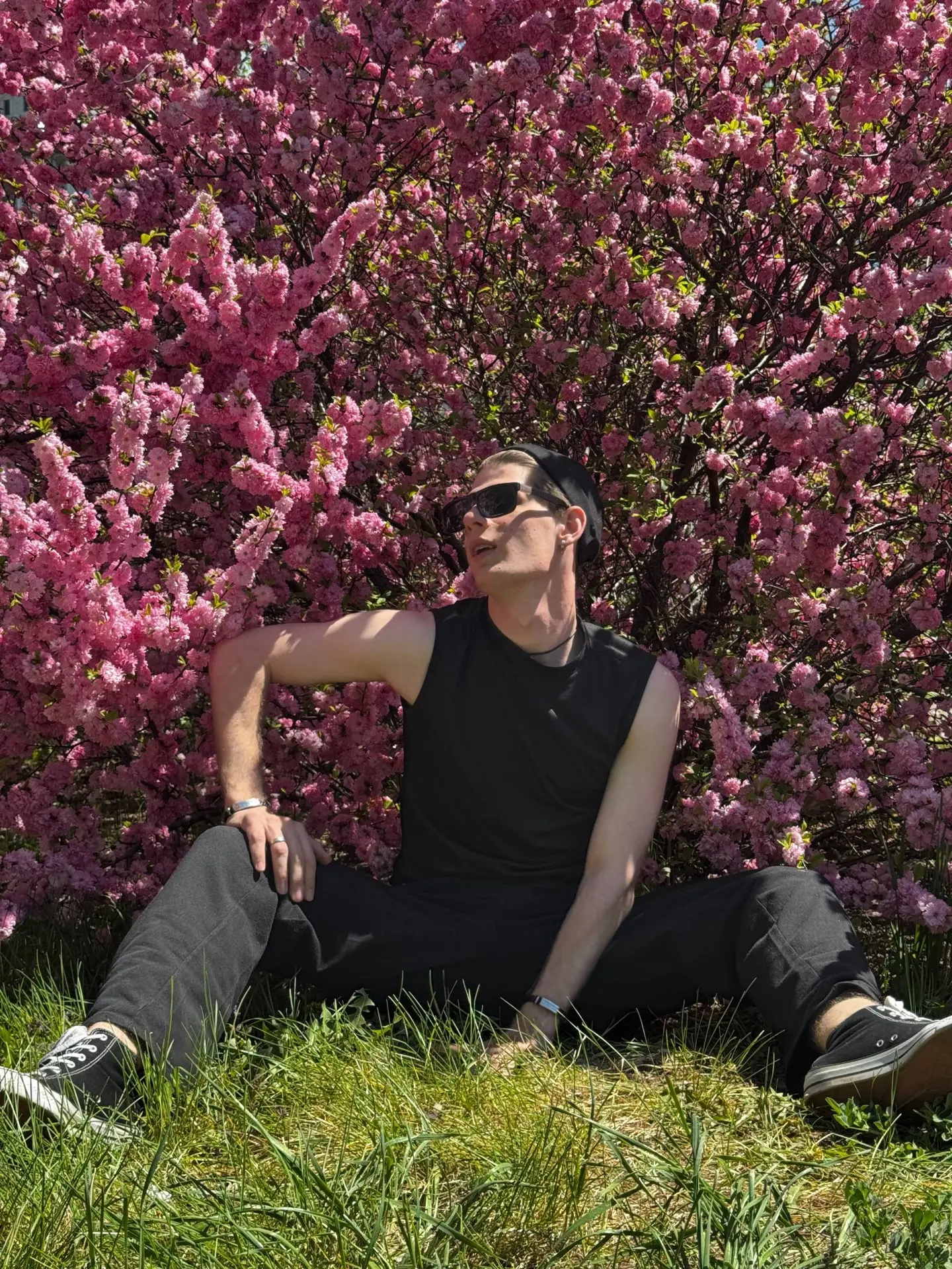 Фоточек с сакурой много не бывает🌸