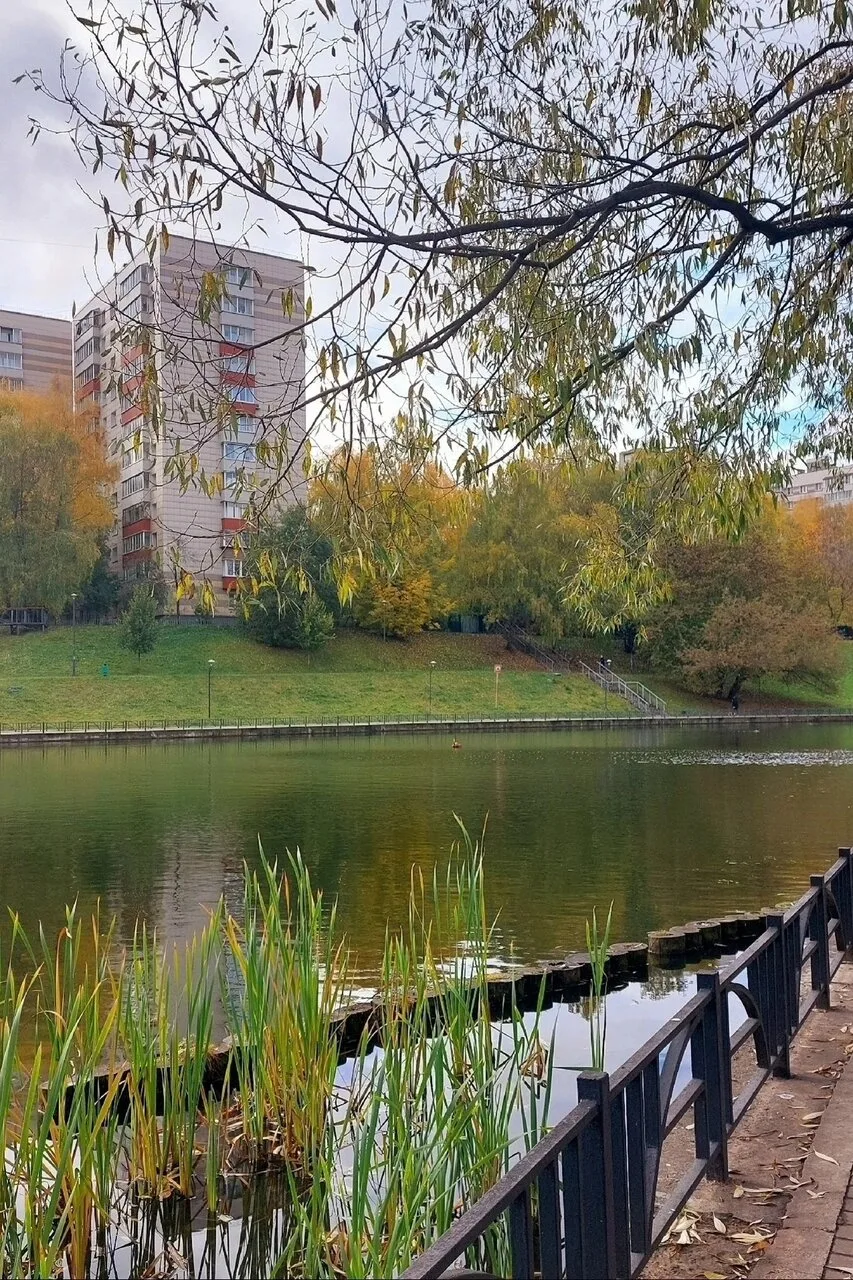 Осень на пруду от подписчицы ❤