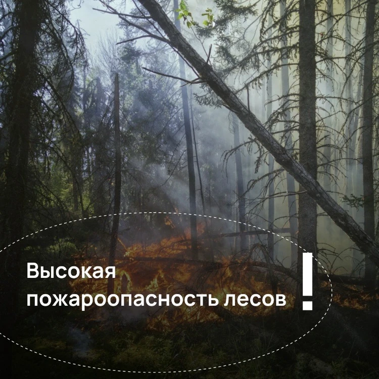Уважаемые жители Йошкар-Олы! 
 
В период с 17 по 22 июня местами по Республике Марий Эл сохраняется 