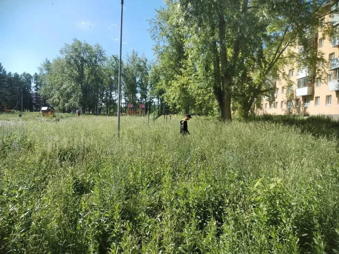 🍀Райские кущи