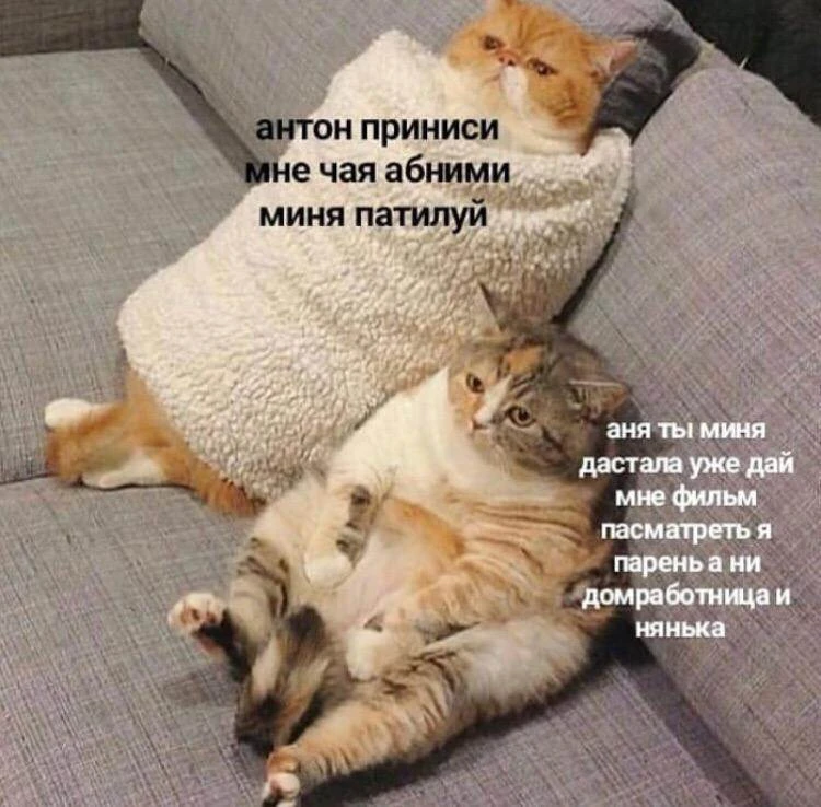 🥰🥰